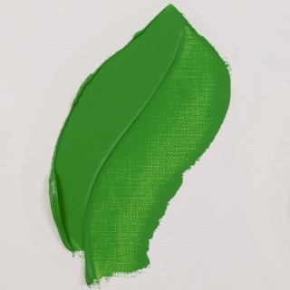 Van Gogh Oil Colour Permanent Green Medium 614 40 ml