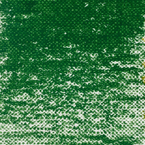 Van Gogh Oil Pastel Sap Green 623.5