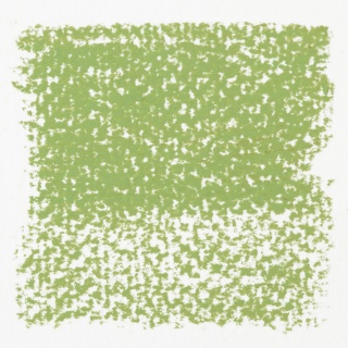 Rembrandt Soft Pastel Olive Green 620.8